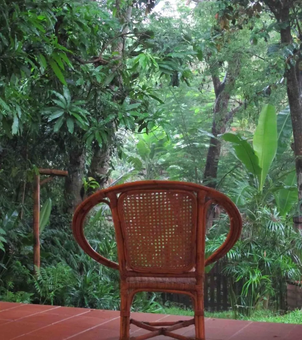 Bed & Breakfast Jumbo Guesthouse On The Mekong Luang Prabang